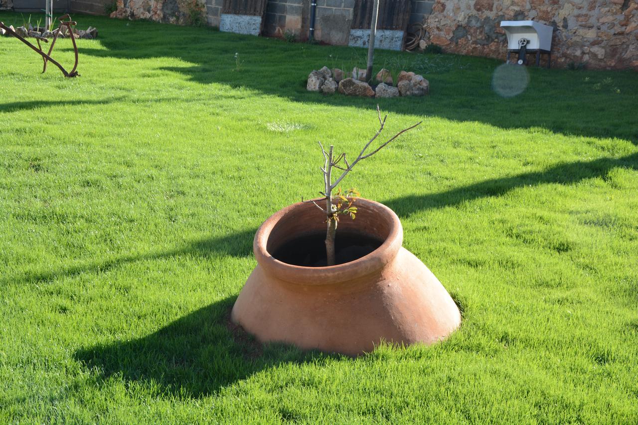 Casa Rural Aromas De La Manchuela Alborea Bagian luar foto